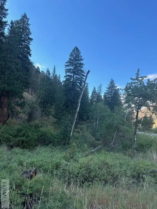 TBD Hwy 93, NORTH FORK, ID 83466