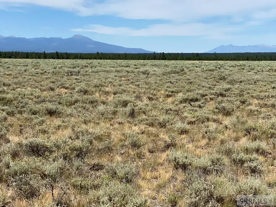 4335 Pine Grouse Road, Island Park, ID 83429 - Image #3