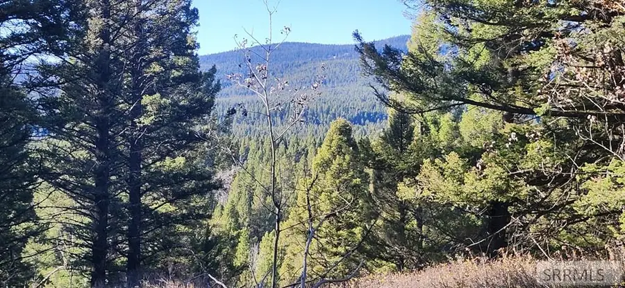 4911 Alpenglow Way, Island Park, ID 83429 - Image #2