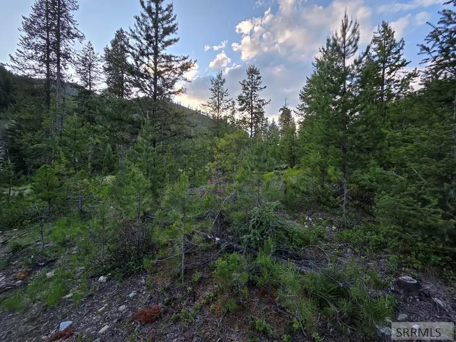 Lot 13 Kokopelli Drive, Gibbonsville, ID 83463 - Image #3