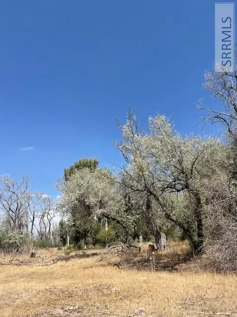 409 1/2 700 N, Firth, ID 83236 - Image #2