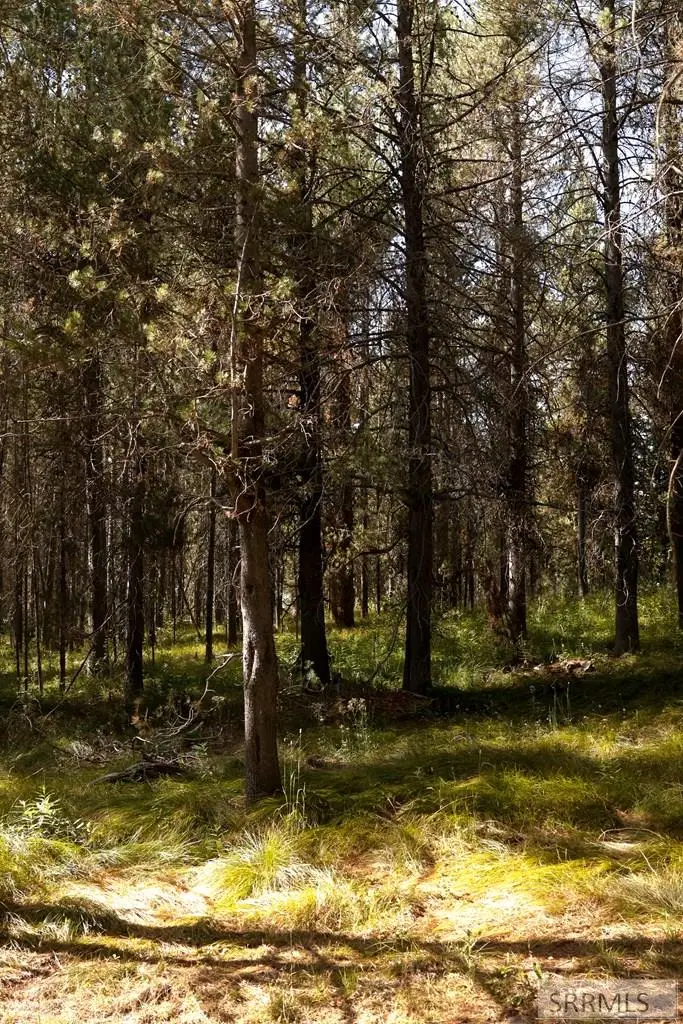 4007 Cougar Street, Island Park, ID 83429 - Image #2