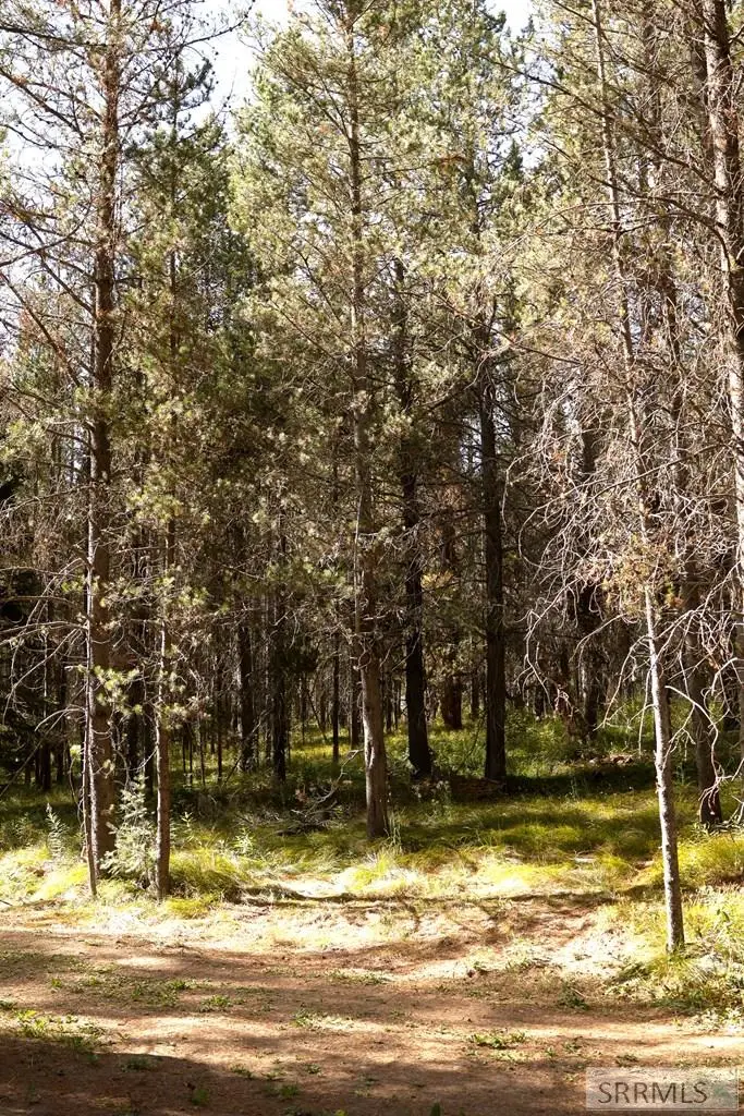 4007 Cougar Street, Island Park, ID 83429 - Image #3