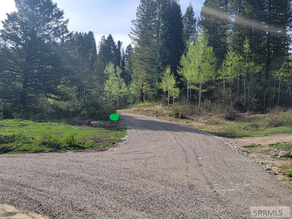 L39 B4 Cutthroat Run, Irwin, ID 83202 - Image #1