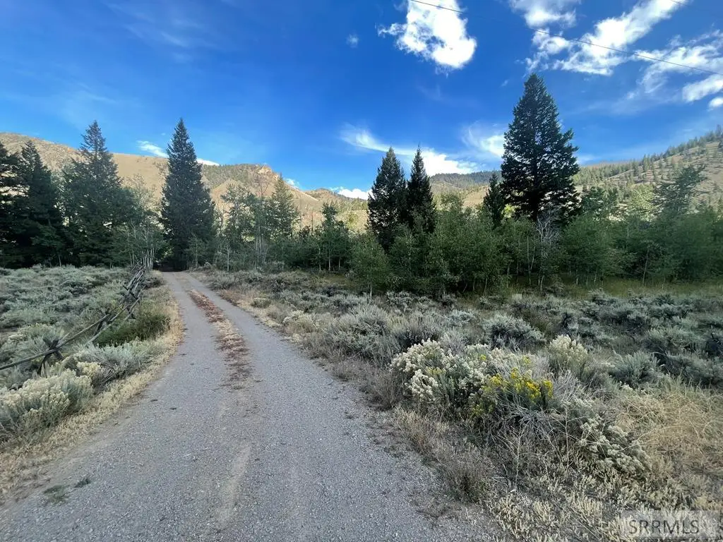 TBD Garden Creek Road, Challis, ID 83226 - #1
