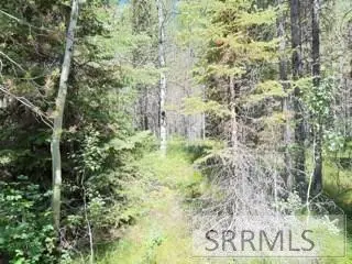 4009 Coyote Road, Island Park, ID 83420 - Image #2