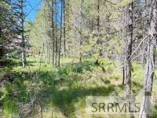 4009 Coyote Road, Island Park, ID 83420 - Image #3