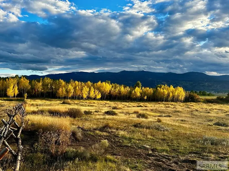 176 Elk Path, Swan Valley, ID 83449 - #3