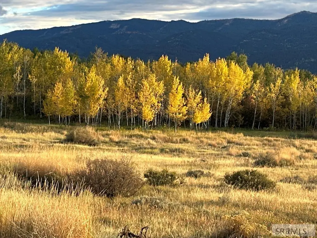 170 Elk Path, Swan Valley, ID 83449 - #1