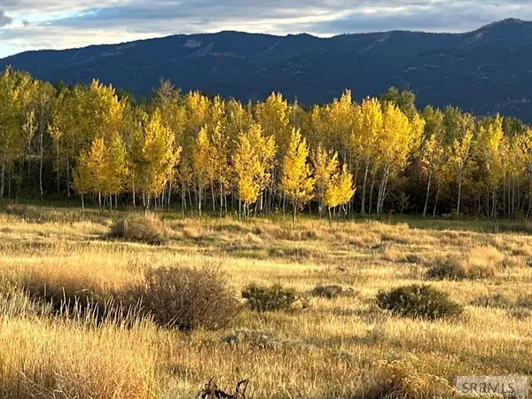 170 Elk Path, SWAN VALLEY, ID 83449