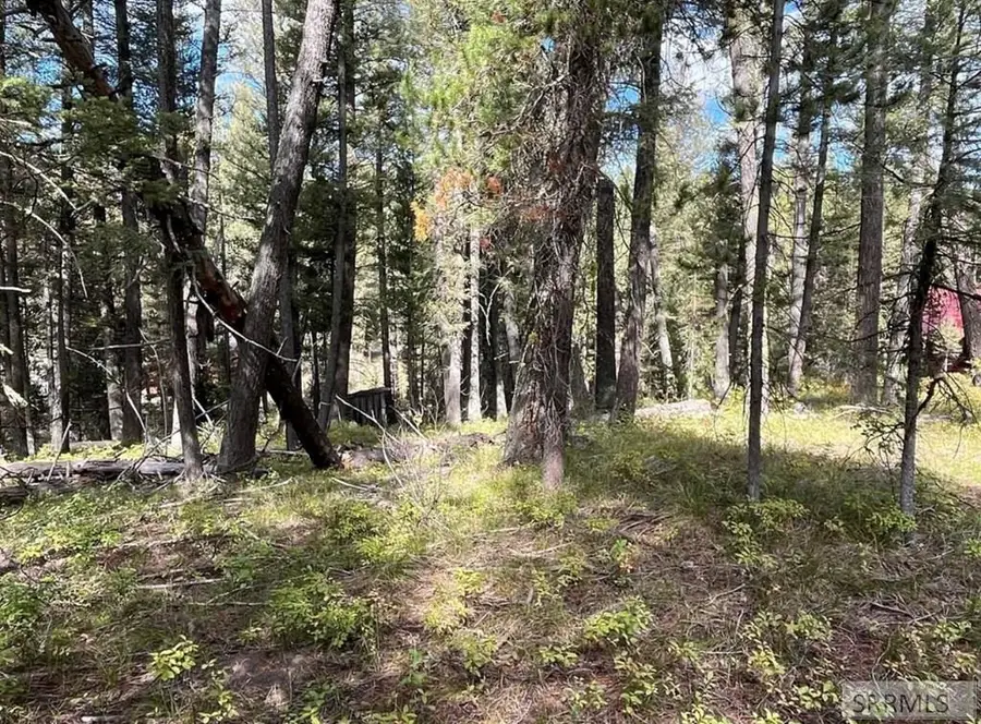 4147 Pine Crest Drive, Island Park, ID 83429 - Image #3