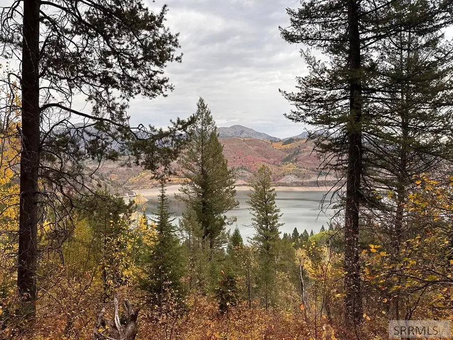 6 Upper Coyote Hollow, Irwin, ID 83428 - #3