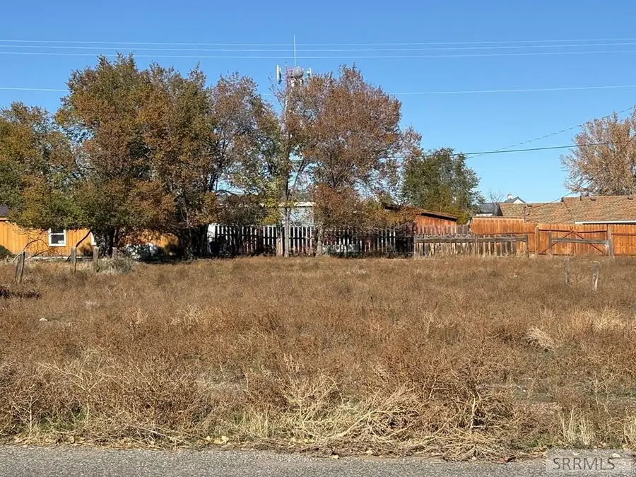 1110 Valley Avenue, Challis, ID 83226 - #3