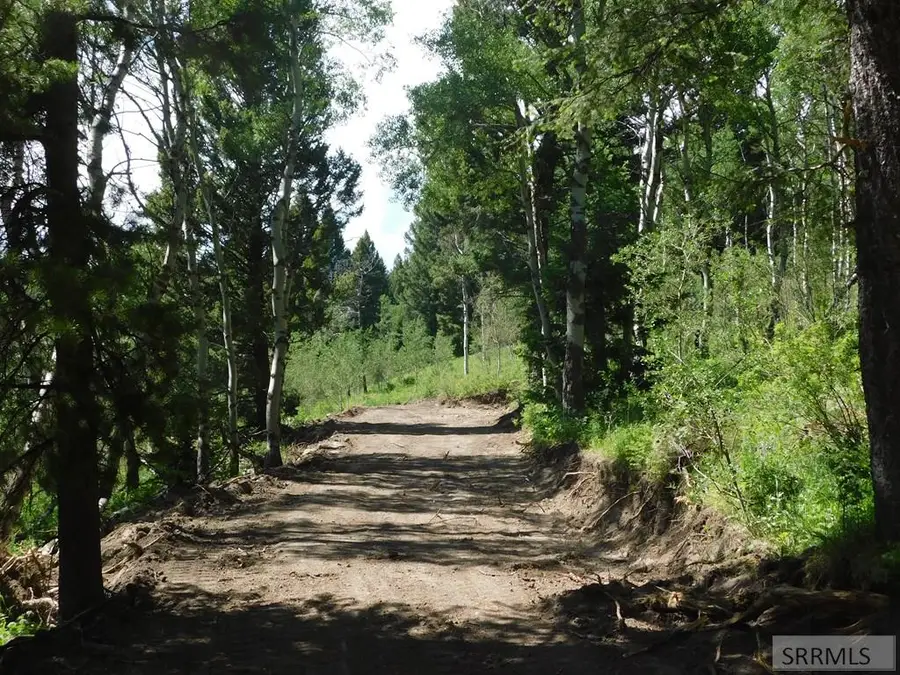 4907 Shadow Wood, Island Park, ID 83429 - Image #3