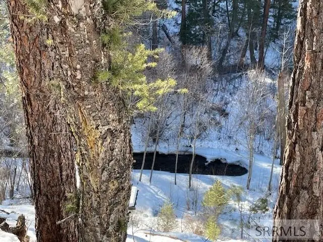 2811 Hwy 93, North Fork, ID 83466 - #3