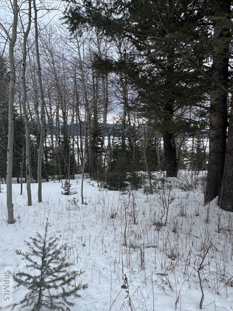 4788 Balsam Street, Island Park, ID 83429 - #3