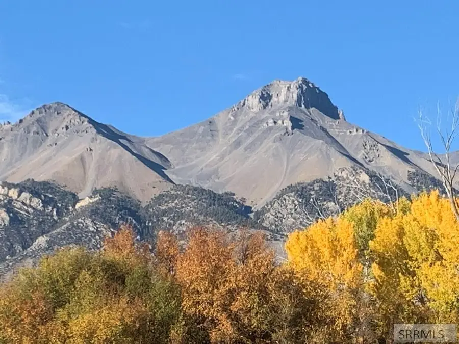 TBD 90.95 Houston Road, Mackay, ID 83251 - #3