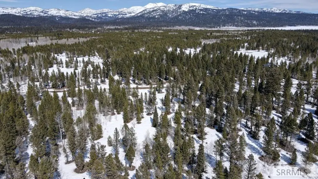 2822 Sagehen Dr, Island Park, ID 83429 - #1