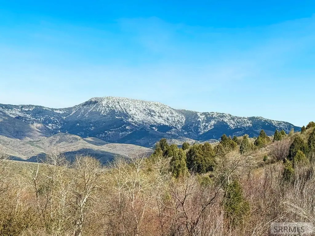 TBD Walker Creek Road, McCammon, ID 83250 - #1