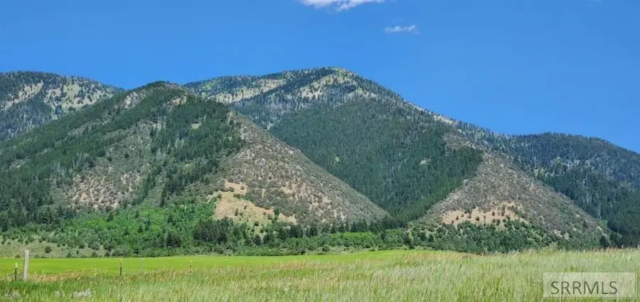 TBD Blue Grouse, Swan Valley, ID 83449 - #2