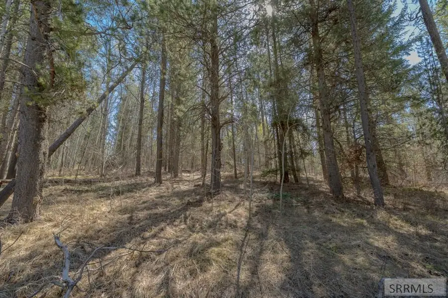 4374 Madeline Trail, Ashton, ID 83420 - #2