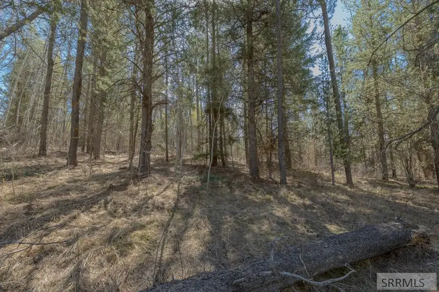 4374 Madeline Trail, Ashton, ID 83420 - #3