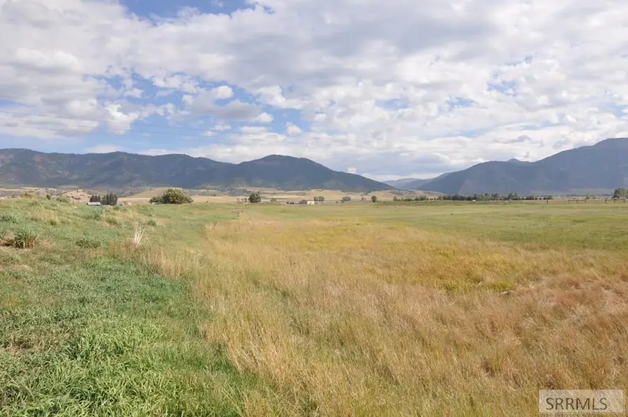 L9 B3 Swan Springs Drive, Swan Valley, ID 83449 - #3