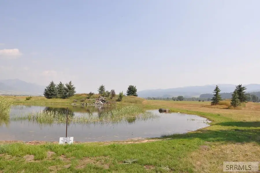 lot 1,b2 Swan Springs Drive, Swan Valley, ID 83449 - #2