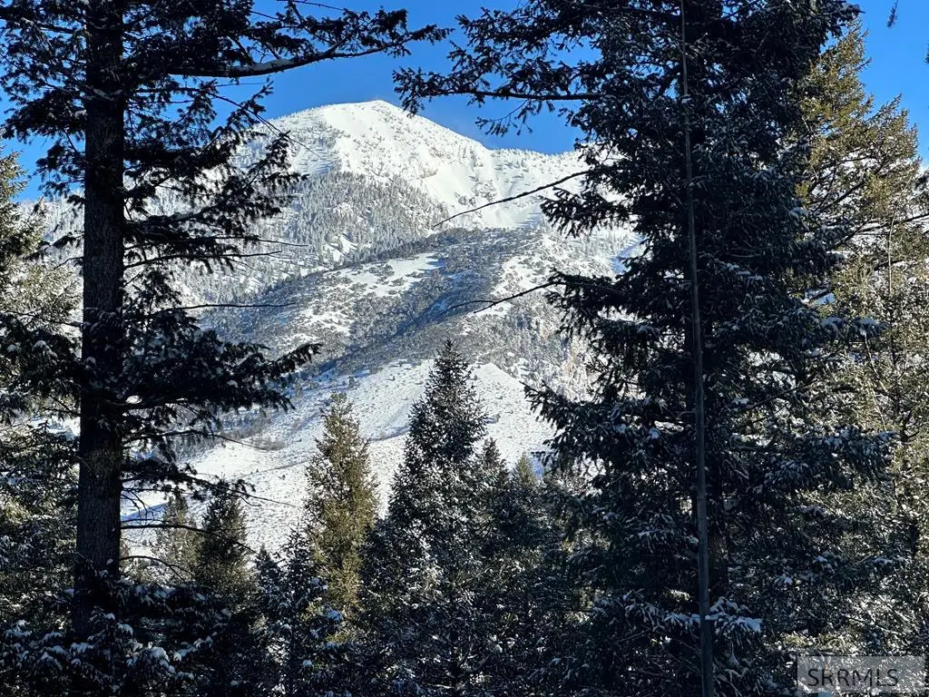 L35B4 Cutthroat Run, Irwin, ID 83428 - #1