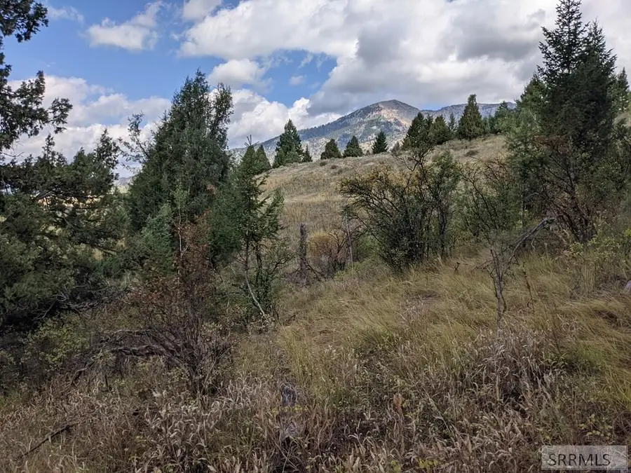 L50B4 Cutthroat Run, Irwin, ID 83428 - #3