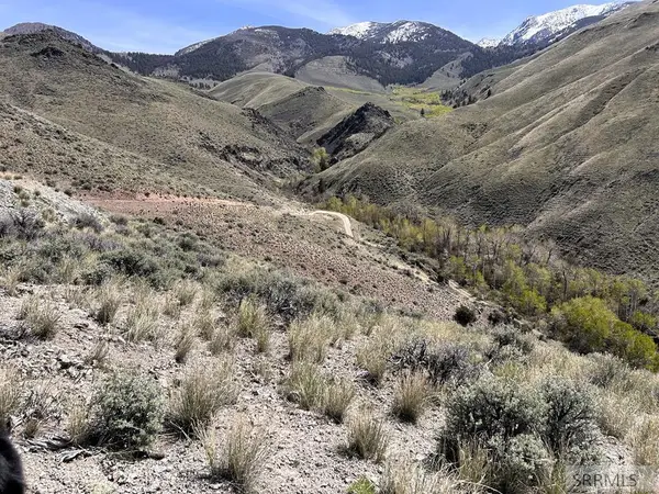 000 Mckim Creek Road, SALMON, ID 83467