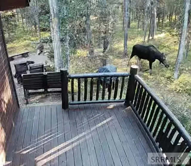 4473 Boulders Street, Island Park, ID 83429 - #3