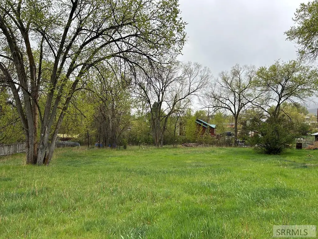 TBD Roosevelt Avenue, Salmon, ID 83467 - #1