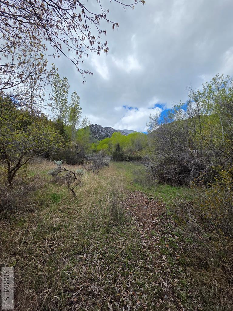 N/A Oliver Drive, Salmon, ID 83467 - #1