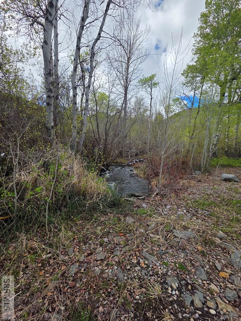 N/A Oliver Drive, Salmon, ID 83467 - #2