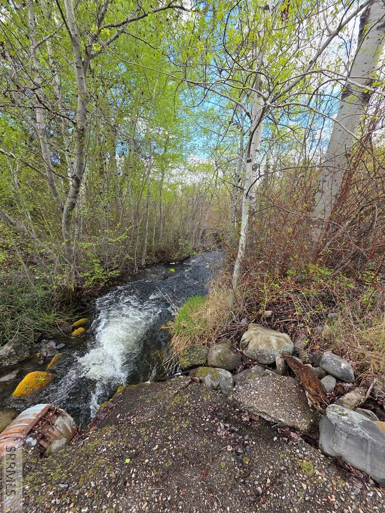 N/A Oliver Drive, Salmon, ID 83467 - #3