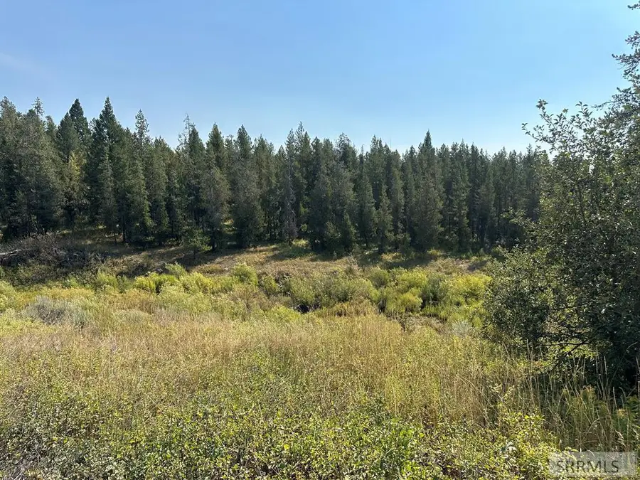 4359 Granite Ridge, Ashton, ID 83420 - #2