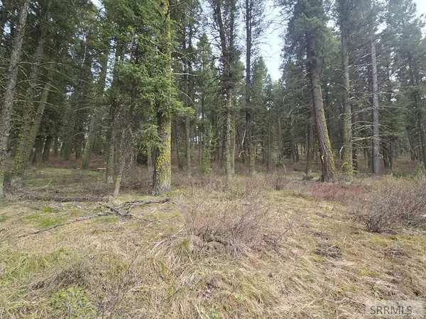 3548 Aspen Drive, ISLAND PARK, ID 83429