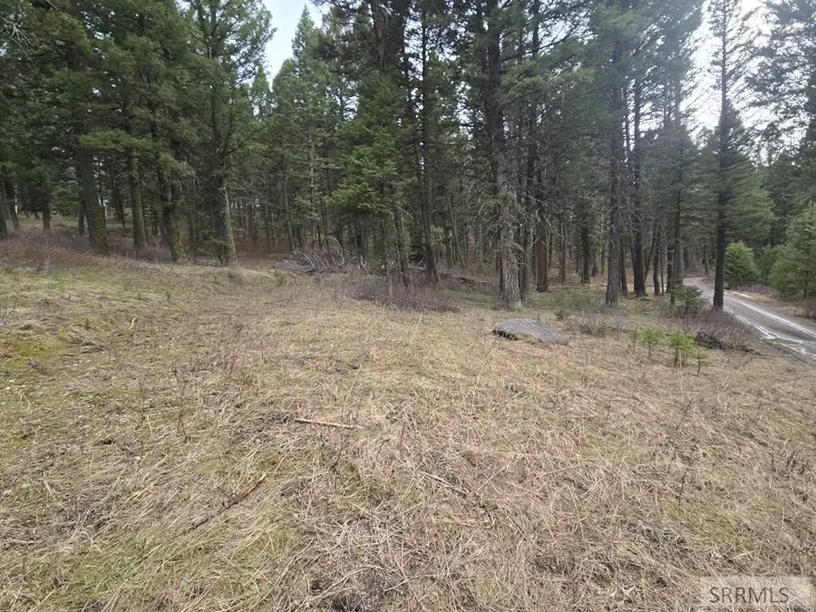 3548 Aspen Drive, Island Park, ID 83429 - #2