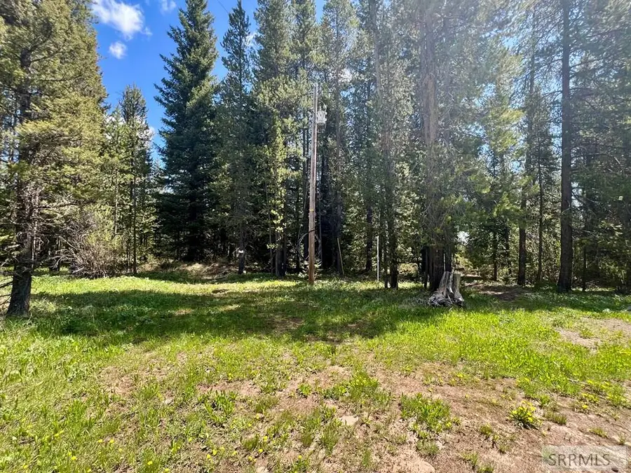 3545 Browning Road, Island Park, ID 83429 - #3