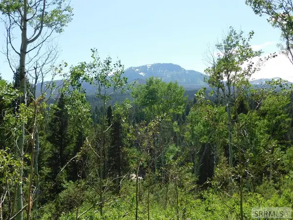 4907 Shadow Wood, ISLAND PARK, ID 83429