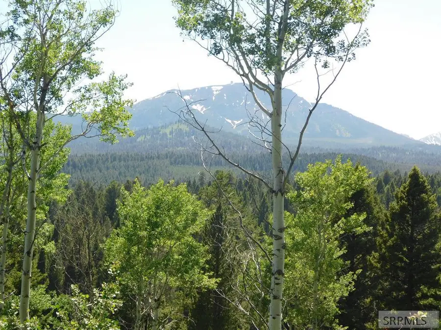 4907 Shadow Wood, Island Park, ID 83429 - #2