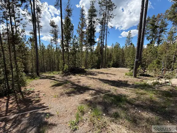 3917 Chief Joseph Drive, ISLAND PARK, ID 83429
