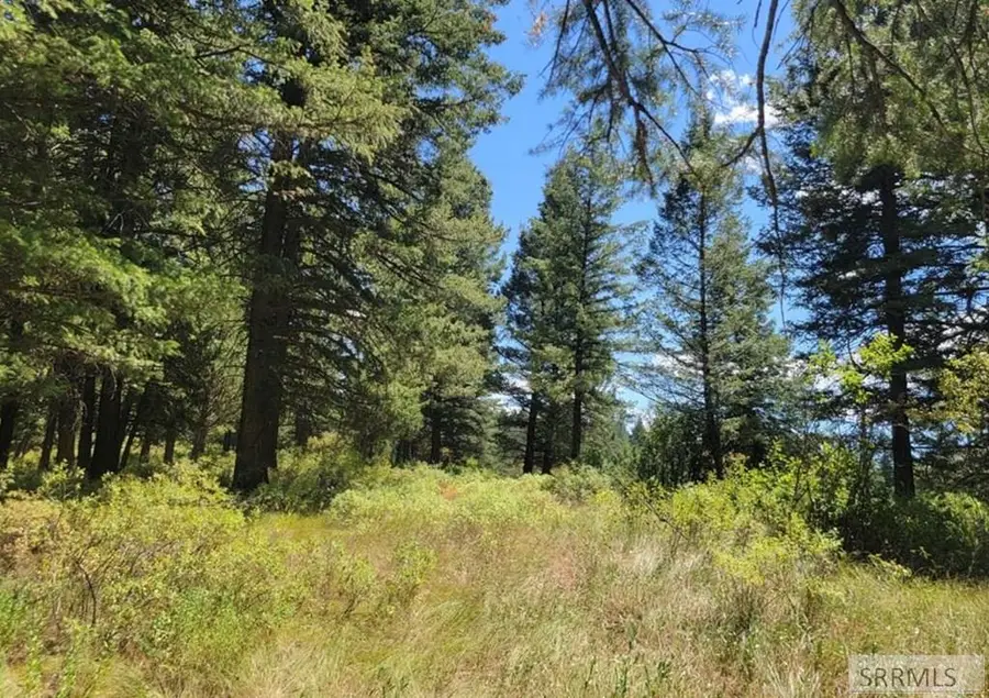 Lot24B3 Cutthroat Run, Irwin, ID 83428 - #2