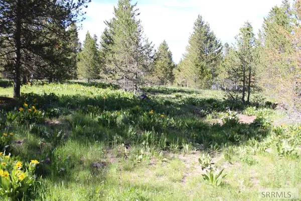 0000 Buffalo Dr, ISLAND PARK, ID 83429