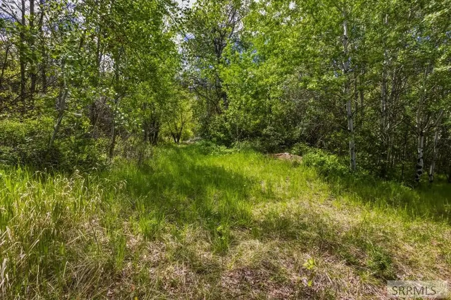 TBD Oliver Drive, Salmon, ID 83467 - #2