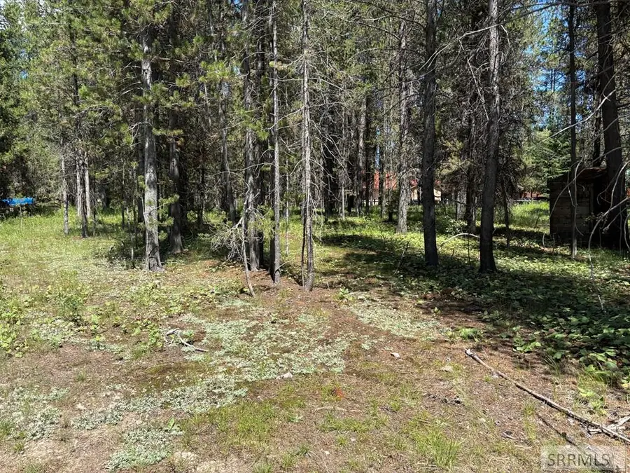 3884 F Street, Island Park, ID 83429 - #2