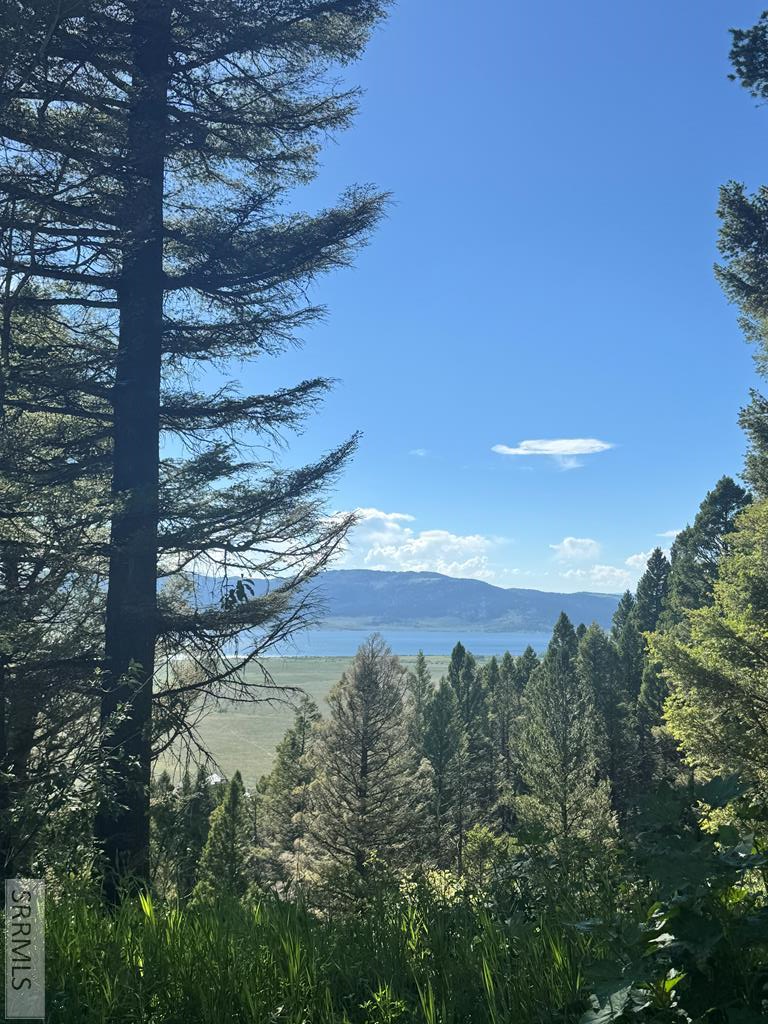 TBD Strobel Drive, Island Park, ID 83429 - #1