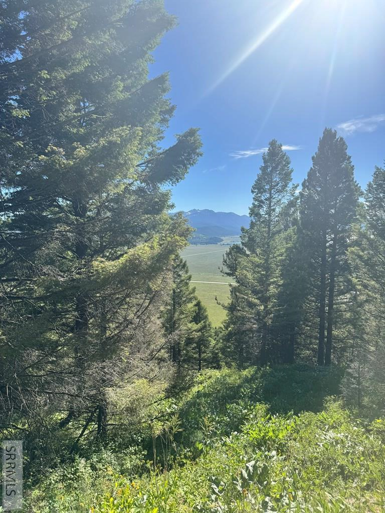TBD Strobel Drive, Island Park, ID 83429 - #2