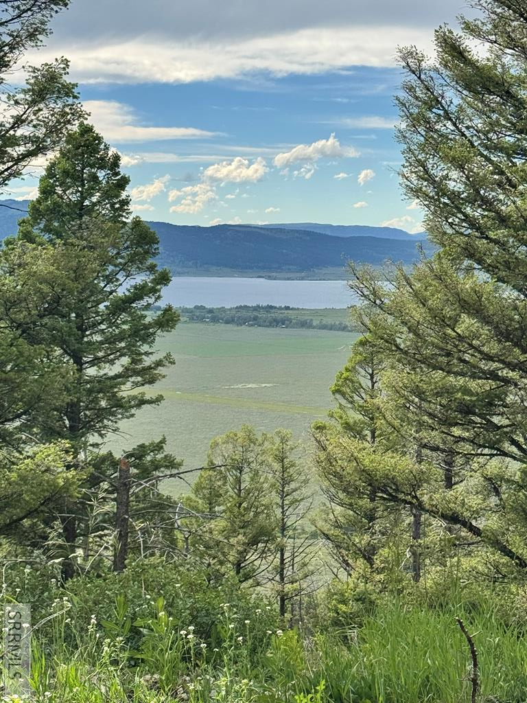 TBD Mountain Drive, Island Park, ID 83429 - #1